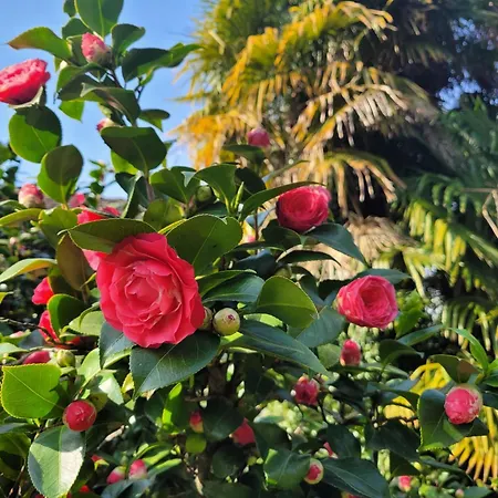 Lägenhet Uferhaus Pescatore