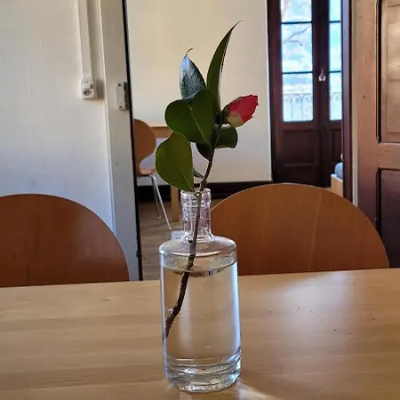Uferhaus Pescatore *