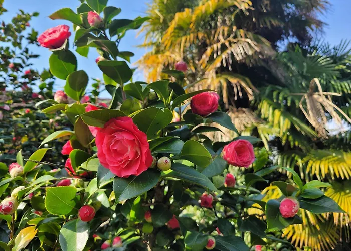 아파트 Uferhaus Pescatore